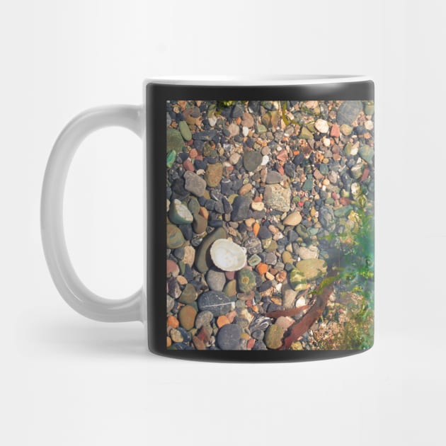 Rock Pool With Beach Pebbles & Seaweed - Abstract Coastal - #1 by Harmony-Mind
